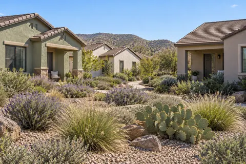 Illustrative Arizona sage bungalows desert lane; not a specific community or available property. Not a depiction of Ascent at Avalon Crossing or an available home.